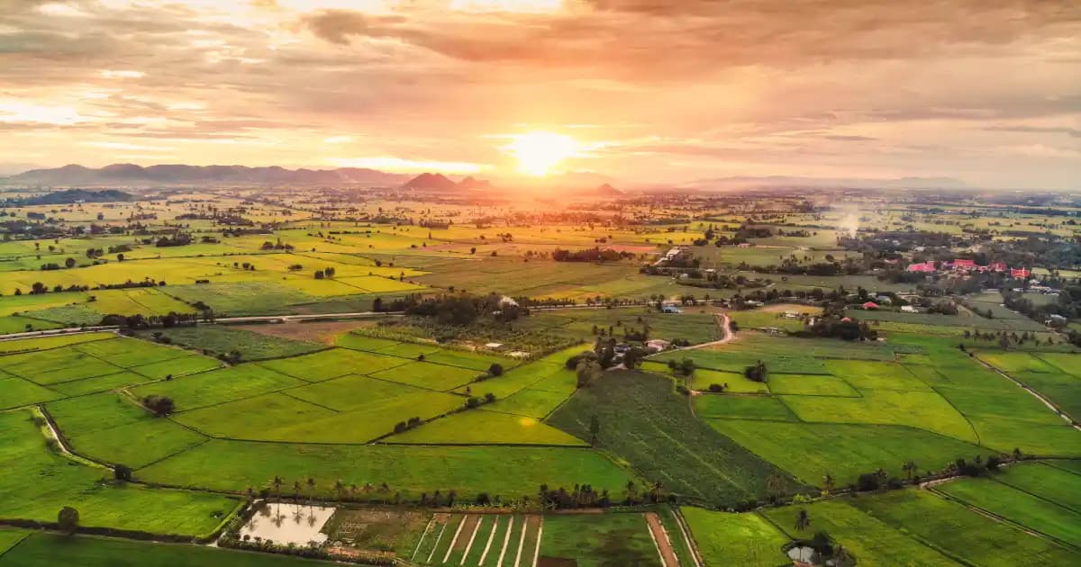 Luxury Farmlands